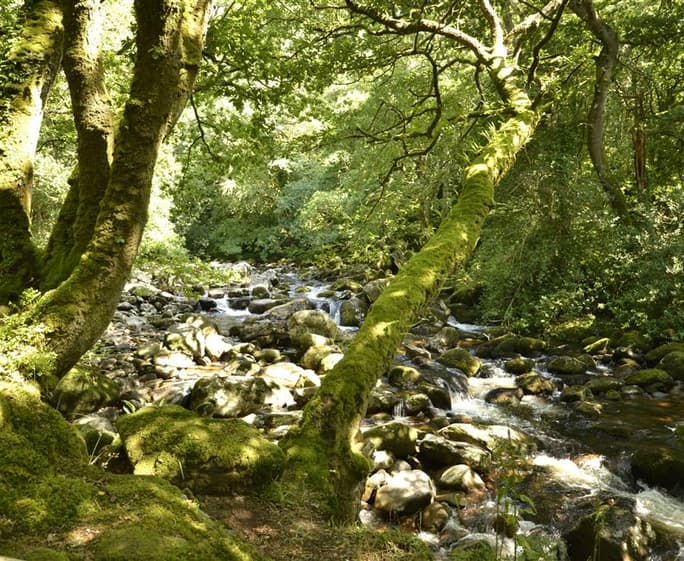 End O Moor 047