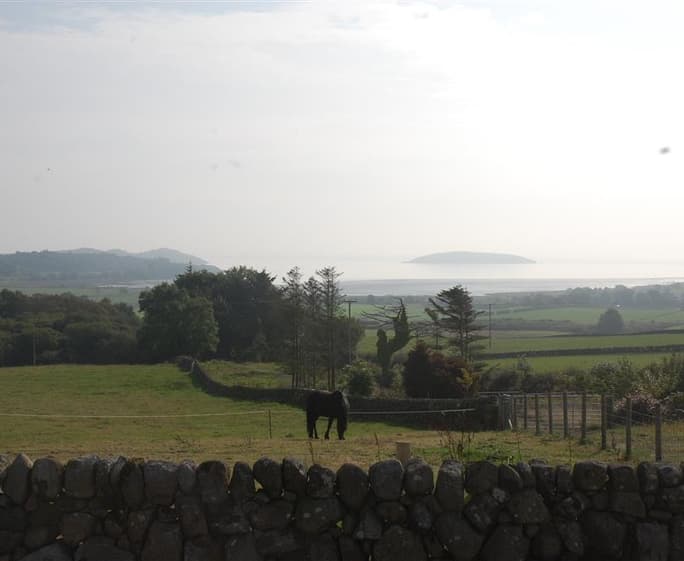 View JPG (2205981)