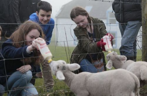 Last Minute Cottages - Hare Cottage