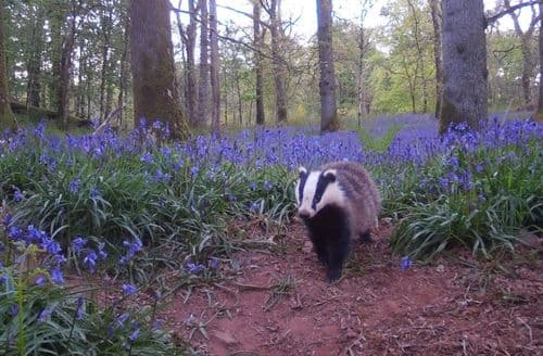 Last Minute Cottages - Hare Cottage