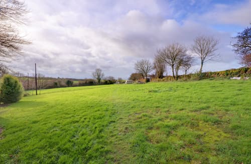 Winter Lawn