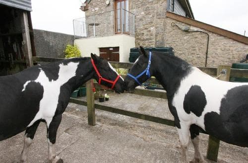 Best friends at London Wells Farm