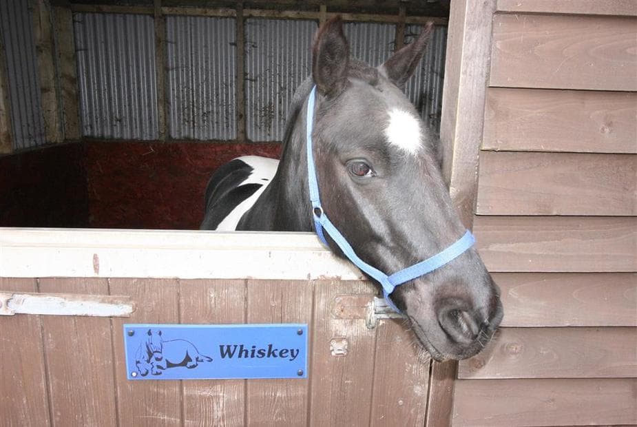 Whiskey at London Wells Farm