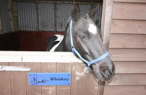Whiskey at London Wells Farm