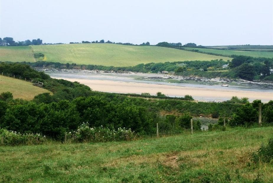 Local view