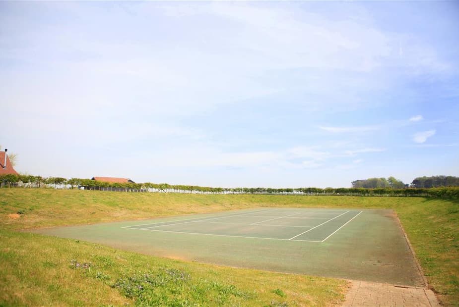 WBB8_IMG_42