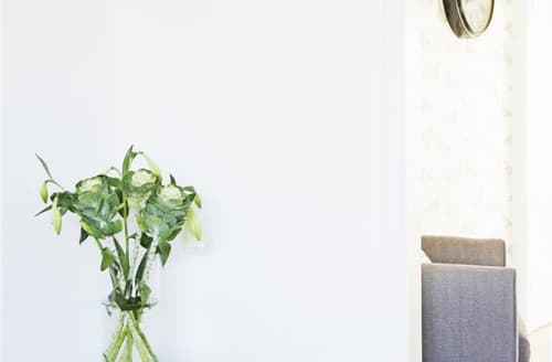 Feature Flowers