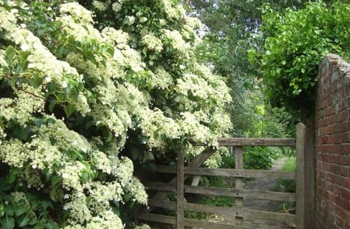 Last Minute Cottages - The Garden Cottage