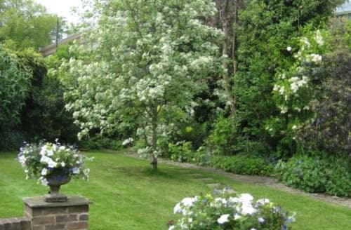 Last Minute Cottages - The Garden Cottage