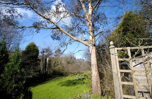Garden - View 3