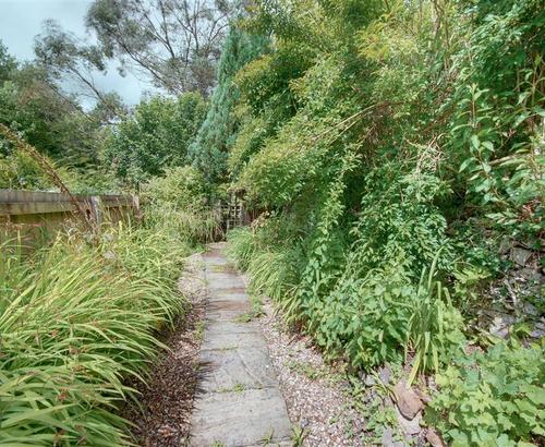 Garden - View 5