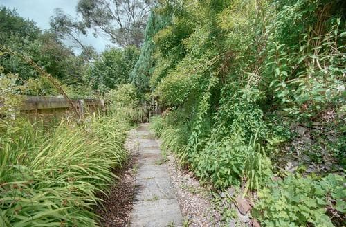 Garden - View 5