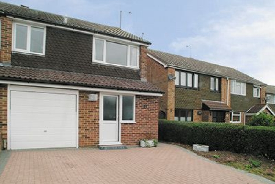 Conifers Exterior | Conifers, Maldon