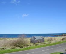 beadnell cottages dog friendly