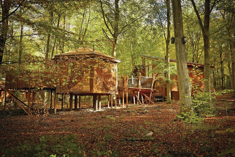 Forest Of Dean Golden Oak Plus Treehouse Pet Forest Of Dean Golden Oak Plus Treehouse Pet Coleford Coleford Last Minute Cottages