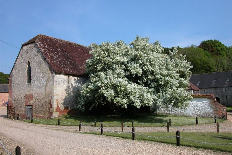 Manor Farm