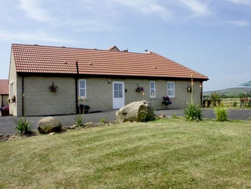 Willow's Stable