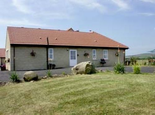 Willows Stable