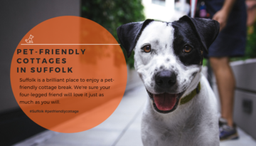 For Pet Lovers Archives Snaptrip Blog