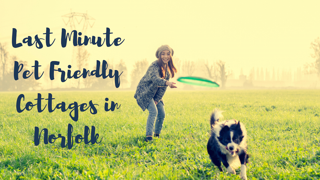 Last Minute Pet Friendly Cottages in Norfolk