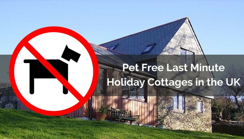 Pet Free Last Minute Holiday Cottages In The Uk Snaptrip