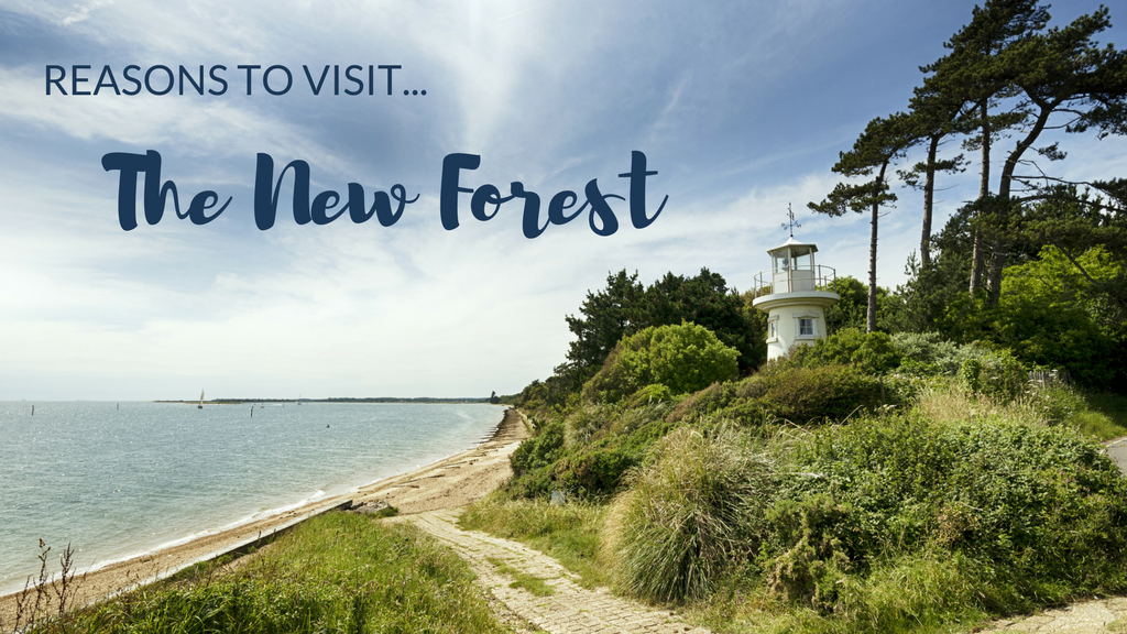 10 reasons why everyone should visit the New Forest