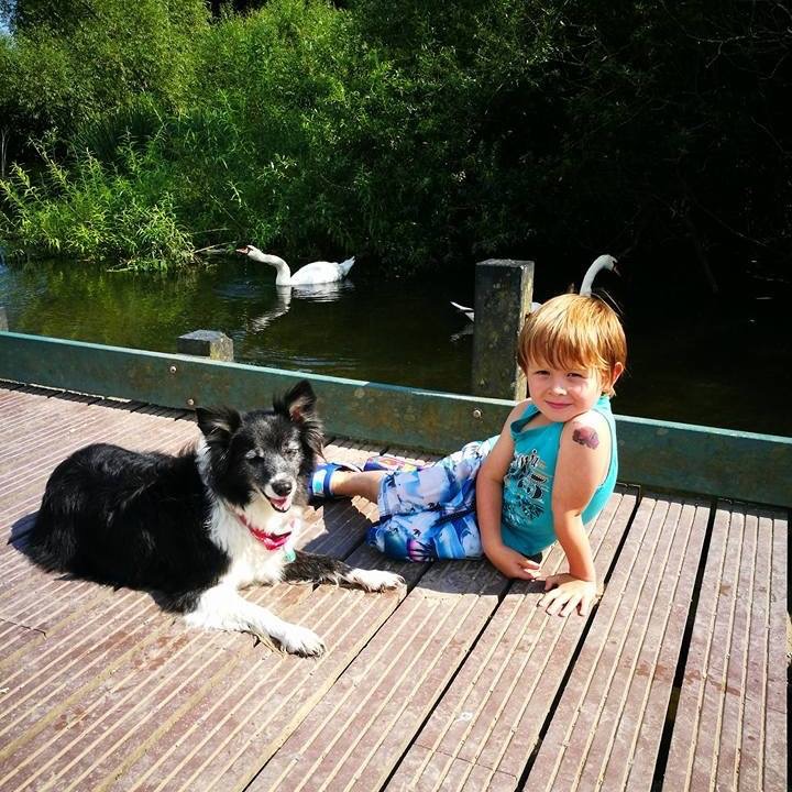 A boy and his dog