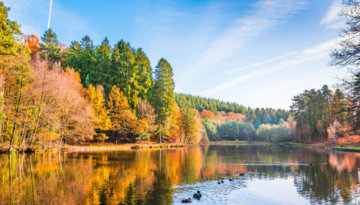 Take in breathtaking views when you visit Forest of Dean