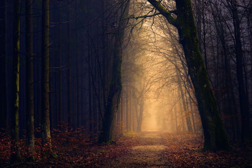 A spooky view of Halloween events in Yorkshire