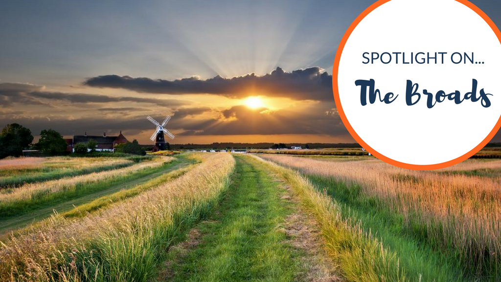 Spotlight on… the Broads