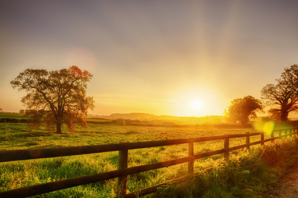 Best towns in Norfolk
