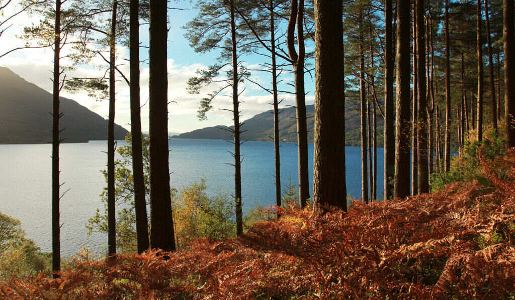 The scenery you see from long walks is one of the