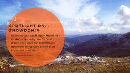 Copy-of-Blog-pictures-style-2-15