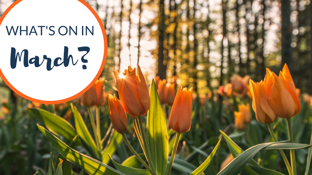 What’s on in March?