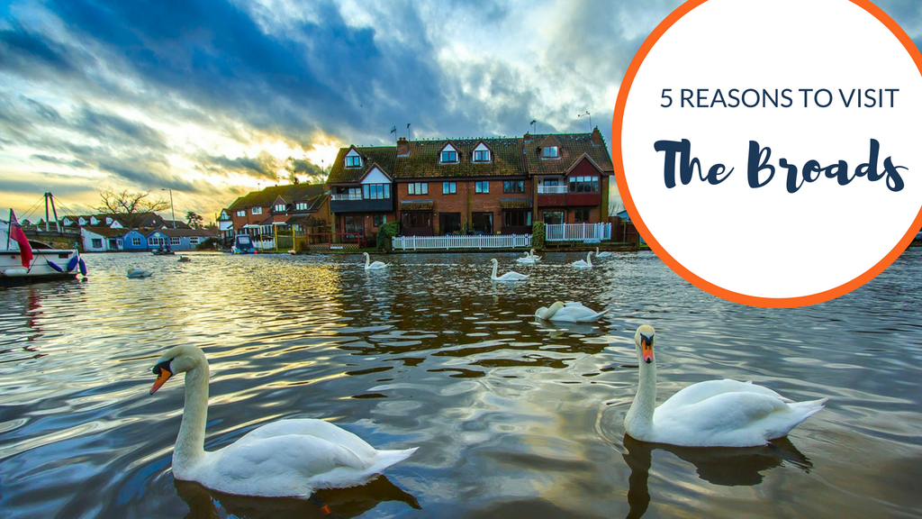5 reasons everyone should visit the Broads