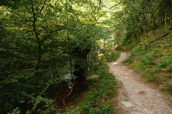 Exmoor travel guide