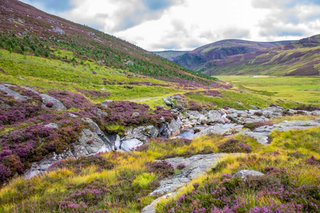 The amazing scenery is one of the 5 reasons you need to visit Cairngorms National Park