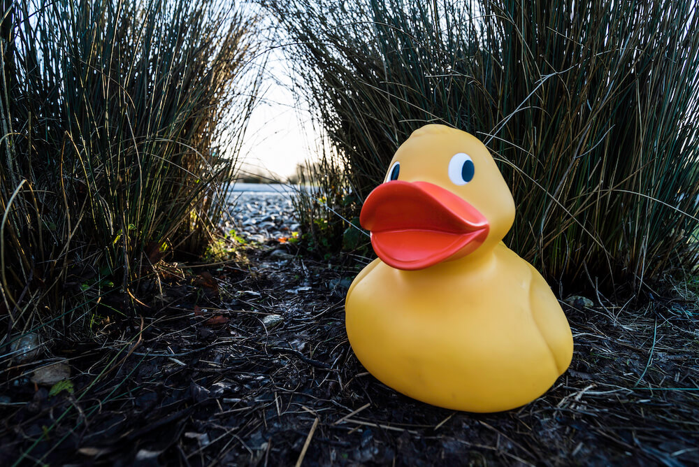 Easter Duck Trail at WWT