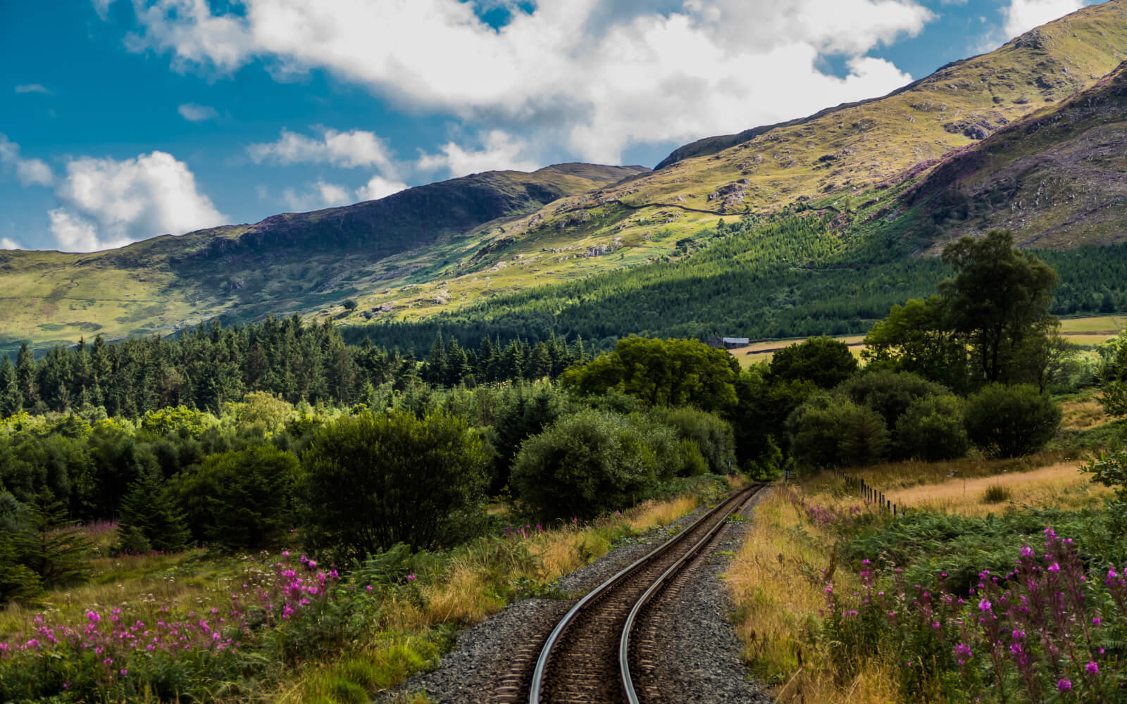 Lodges & Log Cabins In Wales