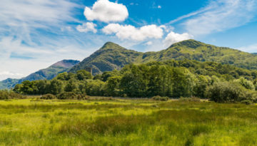 Mid Wales