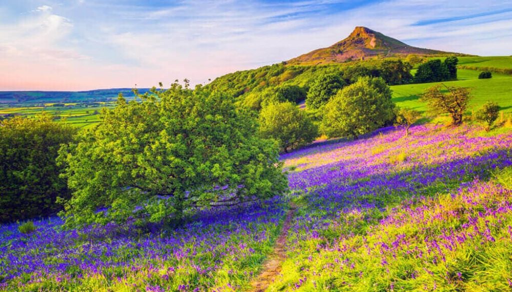 The Best Walks in Yorkshire Snaptrip