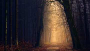 Walk the spooky woods during your halloween family break