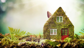 An eco-friendly holiday in the UK