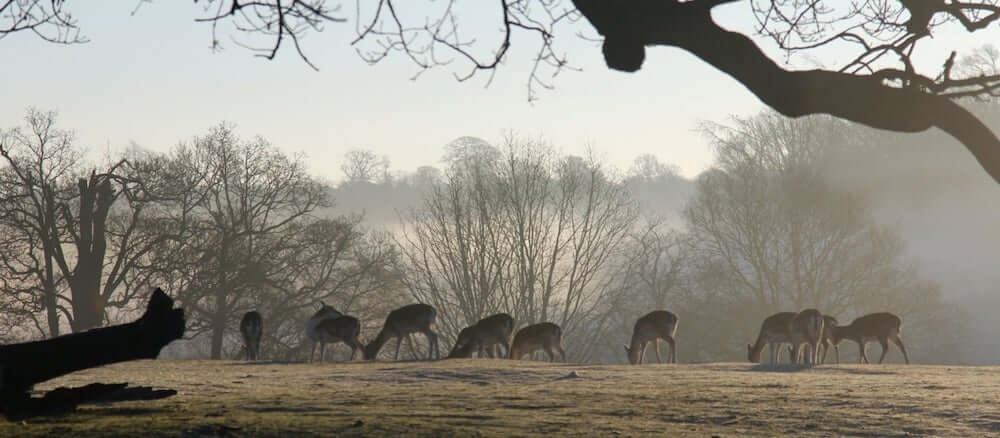 Sevenoaks