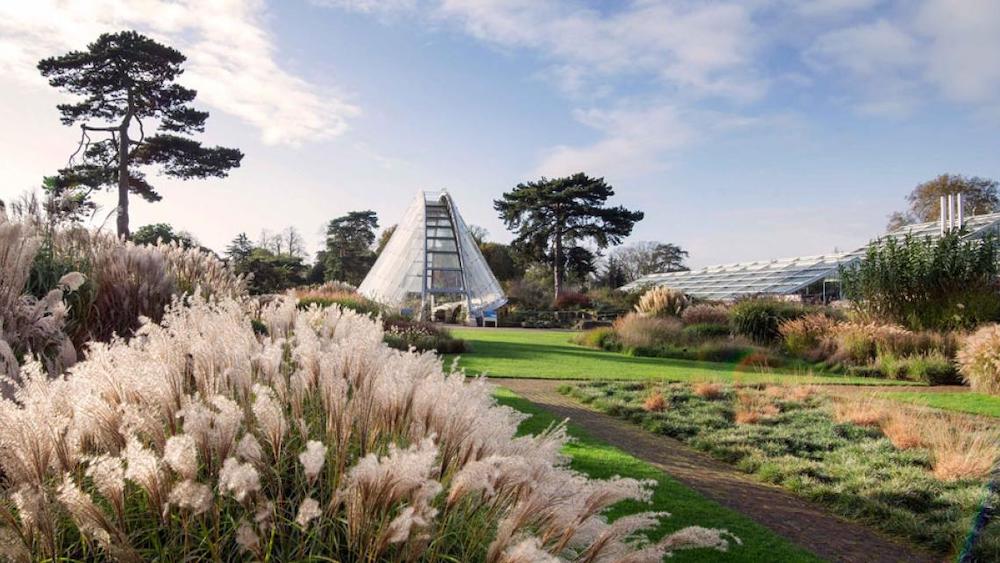 Kew Gardens