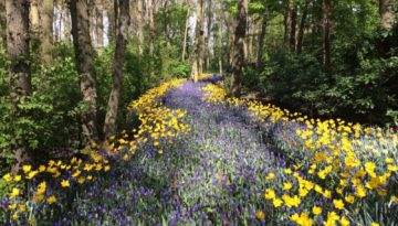 Best places to visit in spring