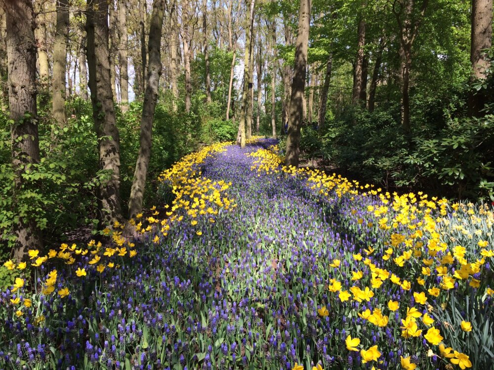 Best places to visit in spring
