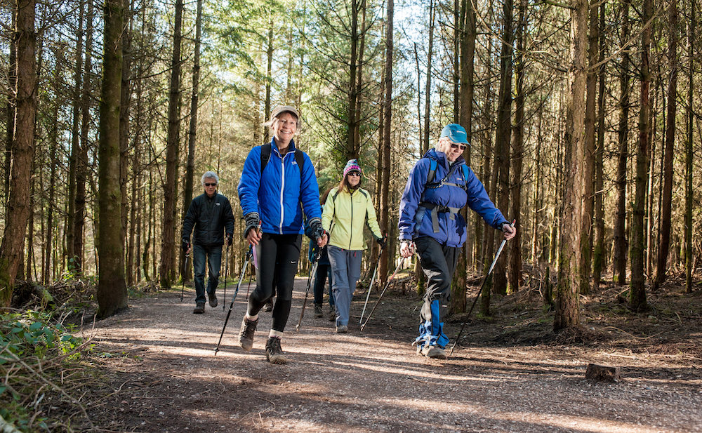 Haldon Forest Park