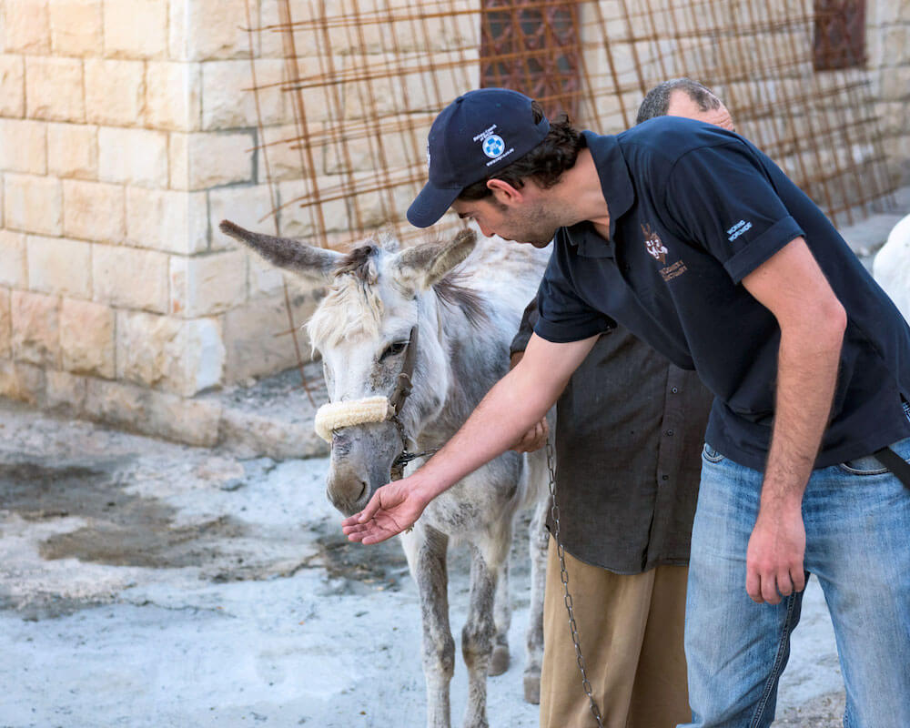 Donkey Sanctuary
