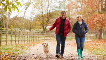 Things to do in Devon with dogs